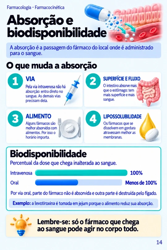 Página Absorção e biodisponibilidade