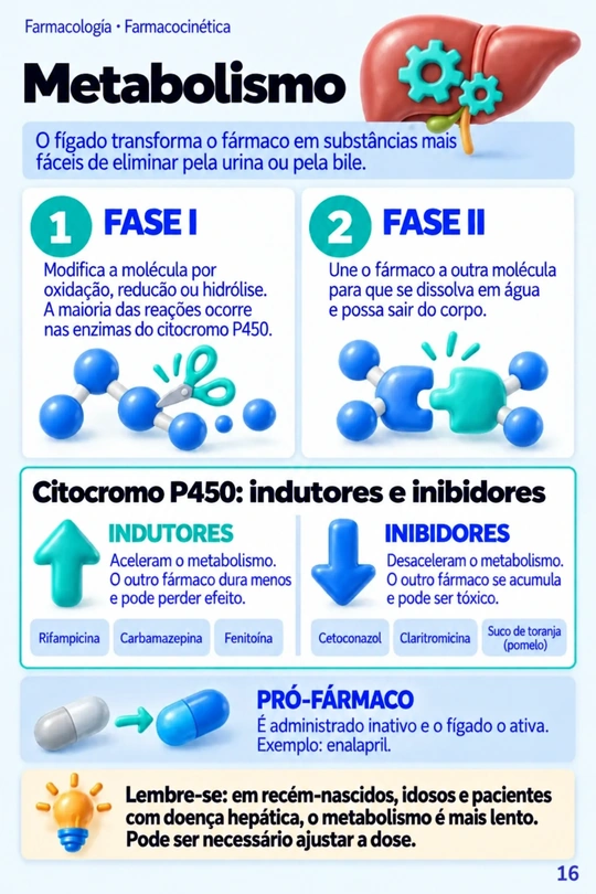 Página Metabolismo