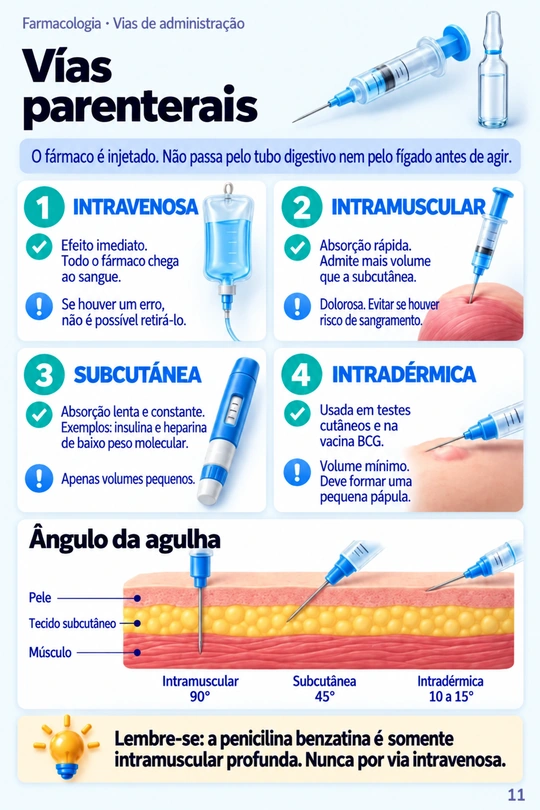 Página Vias parenterais